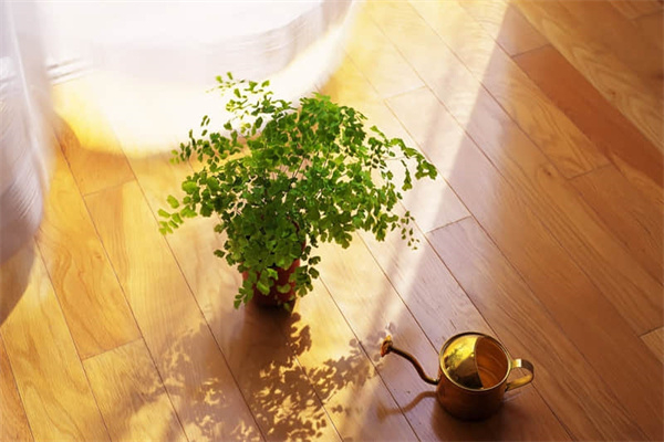 我爱迷人的秋天作文600字