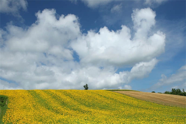 享受这美好的生活
