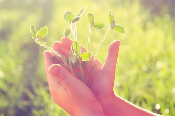 学校一处作文800字