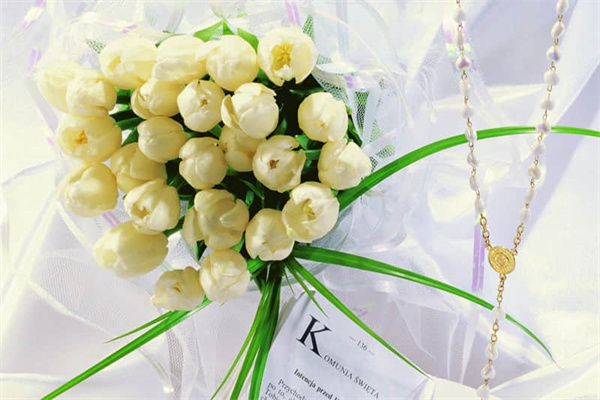 读《平凡的世界》有感-名著读后感450字