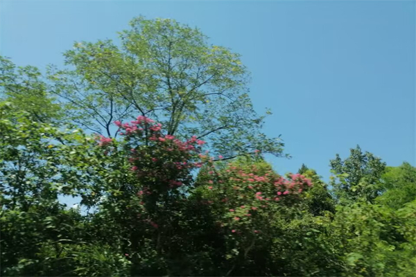 不忘初心逐梦前行作文600字