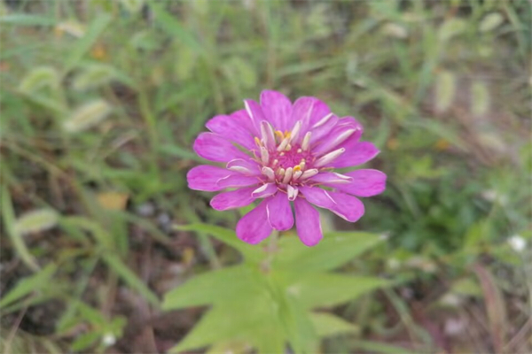 帮助别人的作文