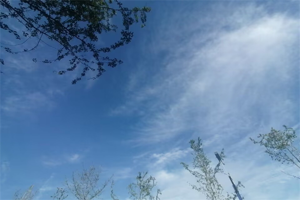 别人家的孩子作文350字