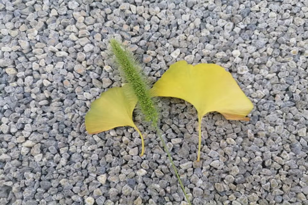 对孩子鼓励与期望的话