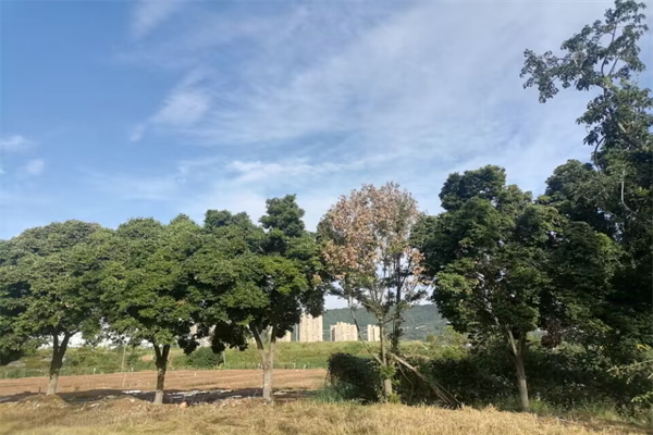 关于心态的800字议论文优秀范文优秀范文