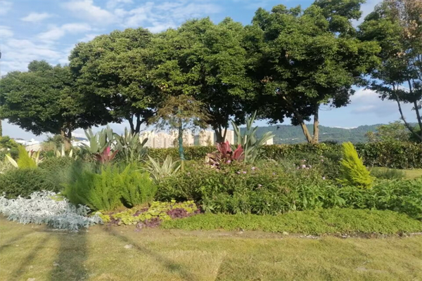 我和春天有个约会   春天里的人们